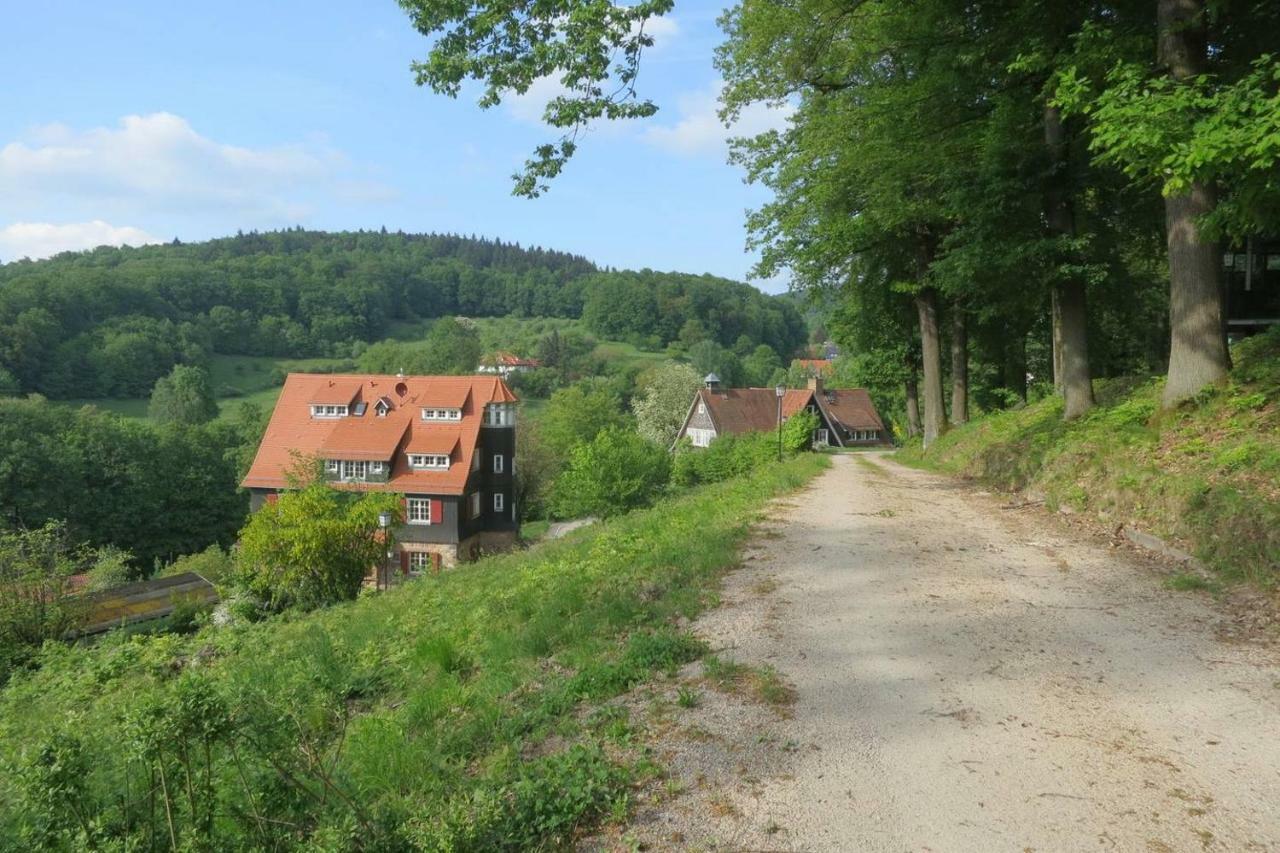 Waldblick Appartement Ober-Hambach Экстерьер фото
