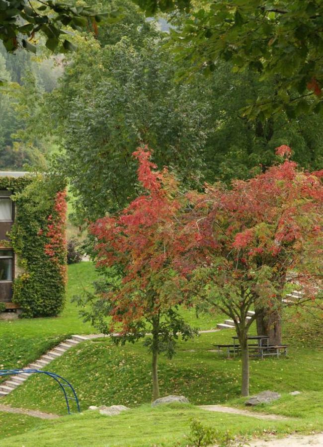 Waldblick Appartement Ober-Hambach Экстерьер фото