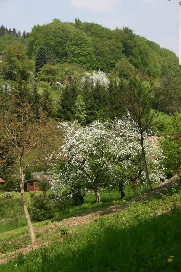 Waldblick Appartement Ober-Hambach Экстерьер фото